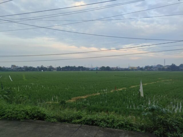 0d31424f-2856-40d0-9842-d4271eeb3da7
