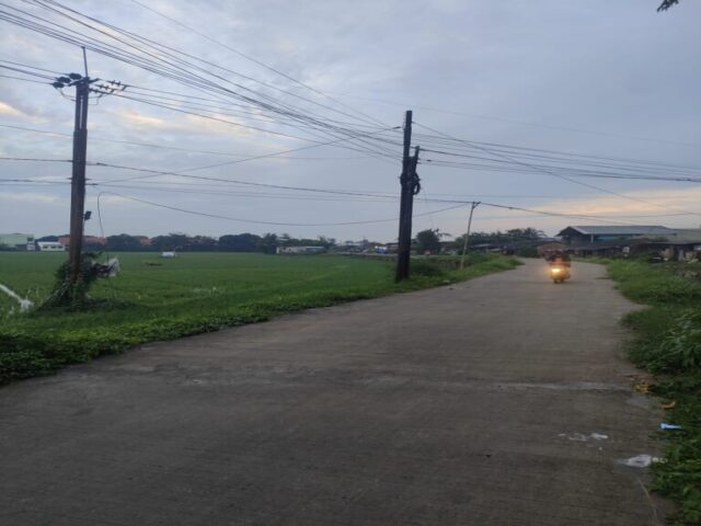 ad51218c-5d40-4e8b-8e85-ac585d3ad3a9