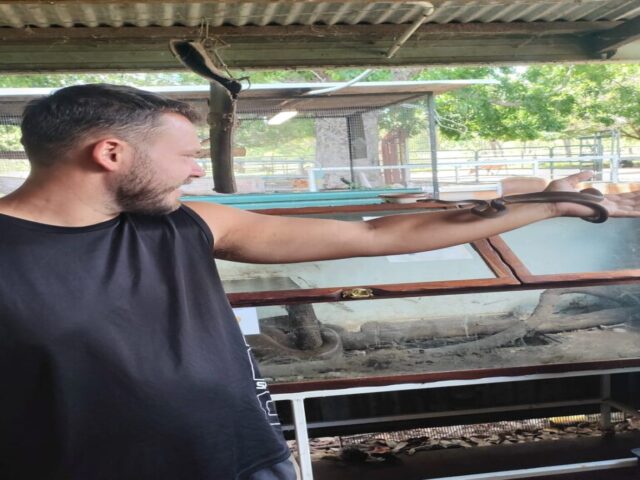 Australia dzien 213 (42)