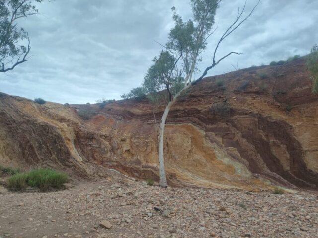 Australia dzien 218 (106)