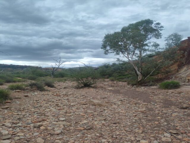 Australia dzien 218 (81)