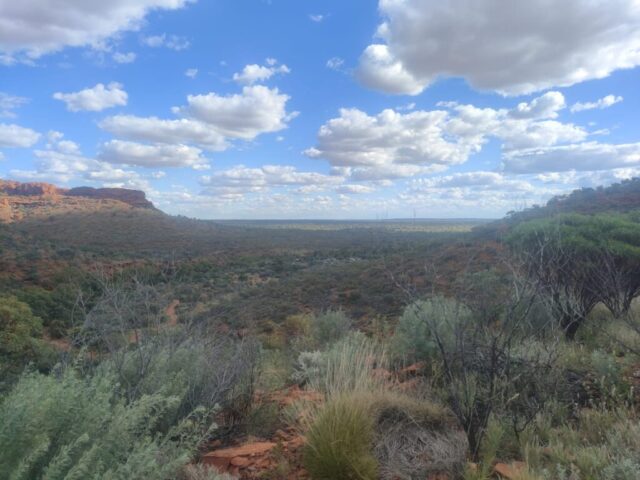 Australia dzien 219 (10)