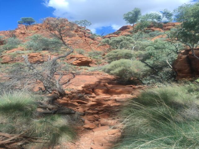 Australia dzien 219 (104)