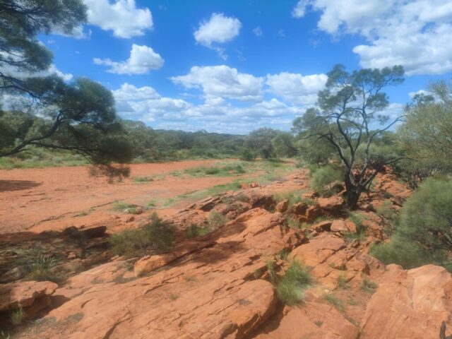Australia dzien 219 (107)