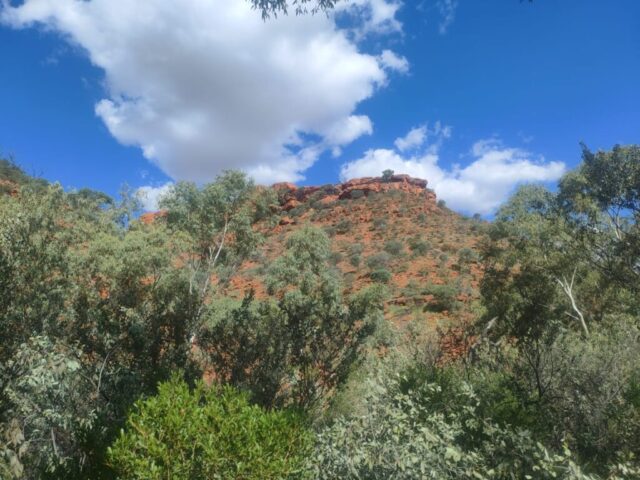 Australia dzien 219 (108)