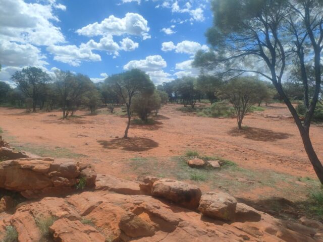 Australia dzien 219 (113)