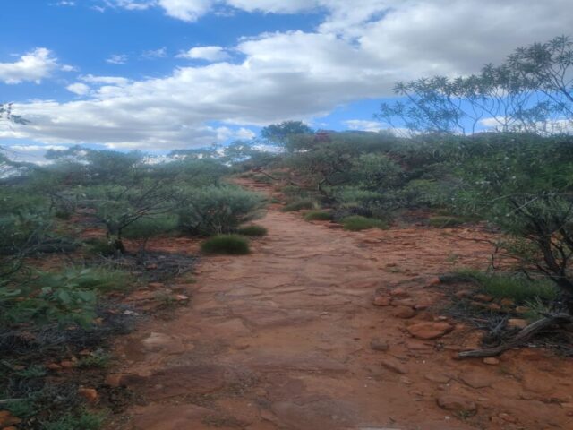 Australia dzien 219 (2)
