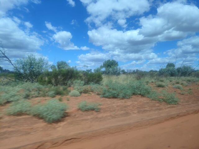 Australia dzien 219 (223)