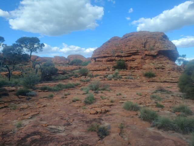 Australia dzien 219 (280)