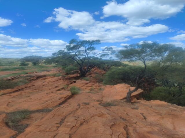 Australia dzien 219 (3)