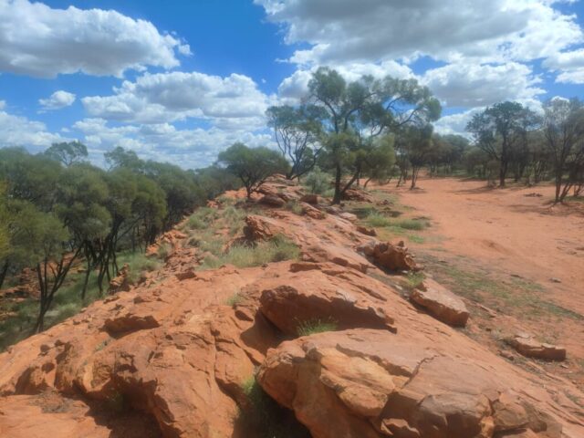 Australia dzien 219 (30)