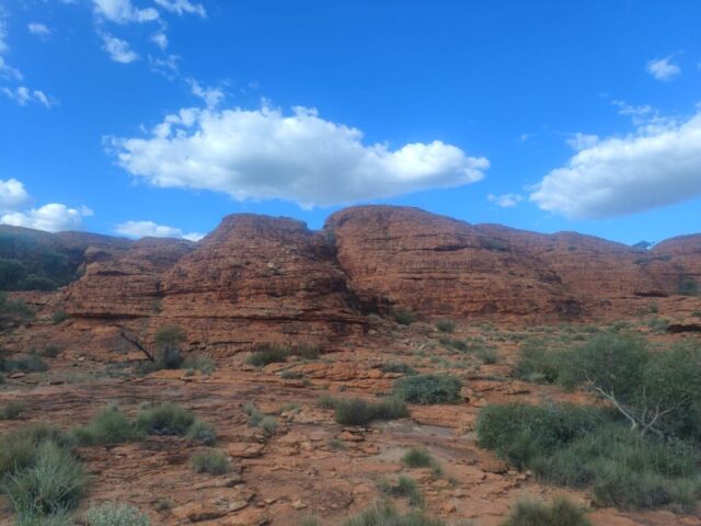 Australia dzien 219 (326)
