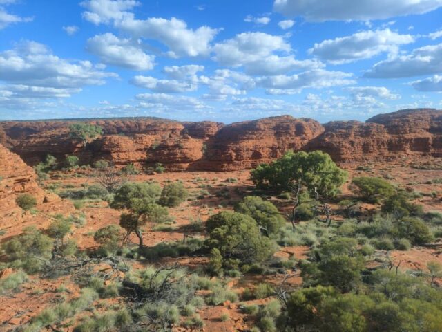 Australia dzien 219 (348)