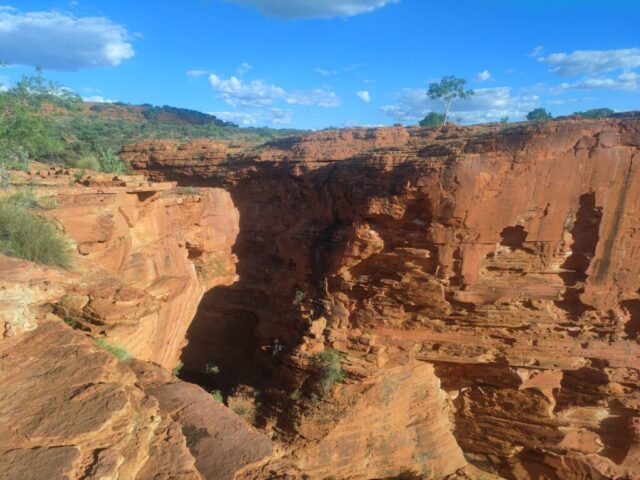 Australia dzien 219 (365)
