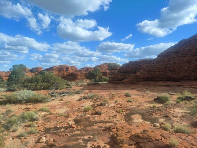 Australia dzien 219 (376)