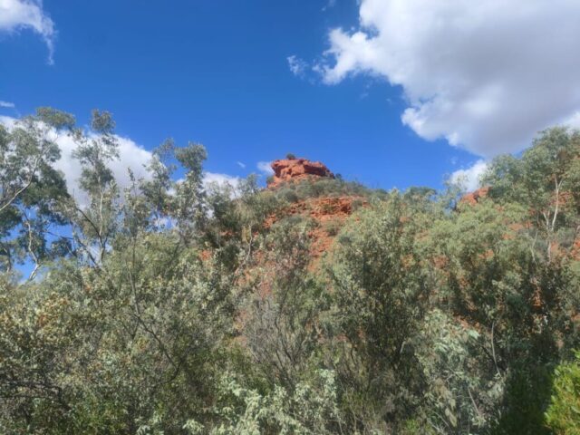 Australia dzien 219 (46)
