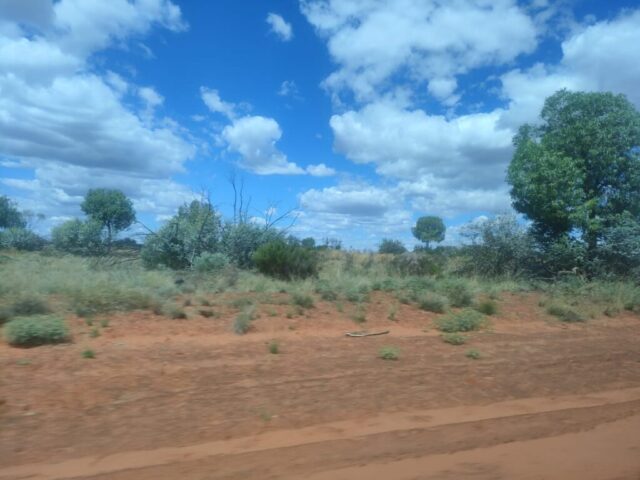 Australia dzien 219 (47)