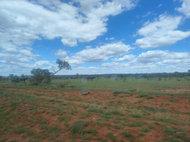 Australia dzien 219 (60)