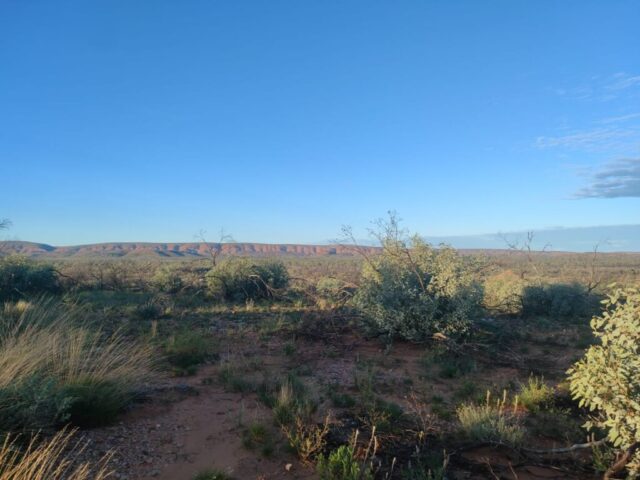 Australia dzien 219 (63)
