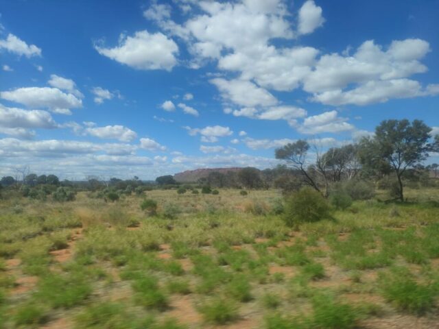 Australia dzien 219 (7)