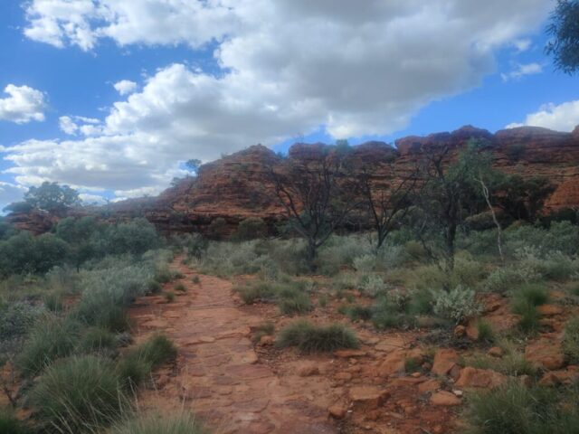 Australia dzien 219 (76)