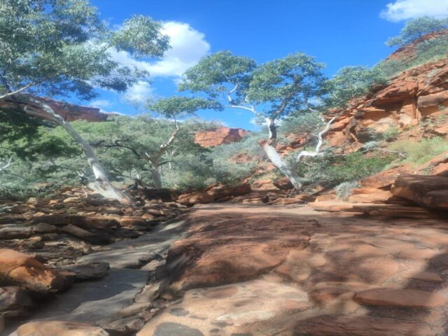 Australia dzien 219 (87)