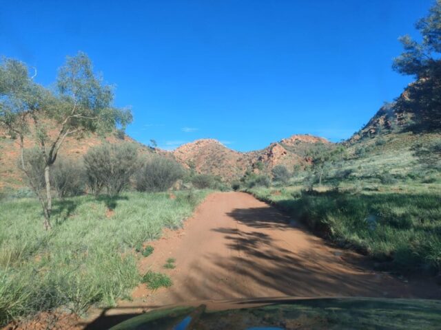 Australia dzien 219 (9)
