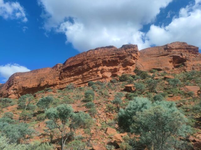 Australia dzien 219 (98)