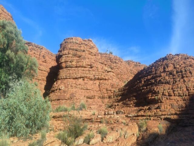 Australia dzien 220 (132)