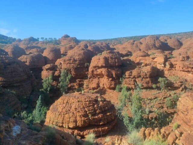Australia dzien 220 (141)