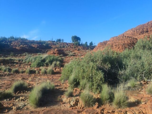 Australia dzien 220 (162)