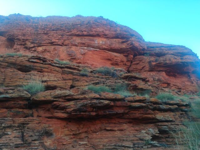 Australia dzien 220 (222)