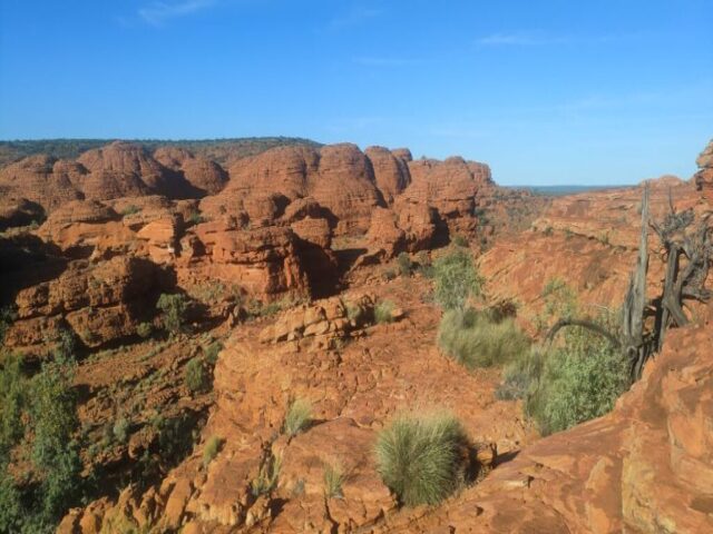 Australia dzien 220 (31)