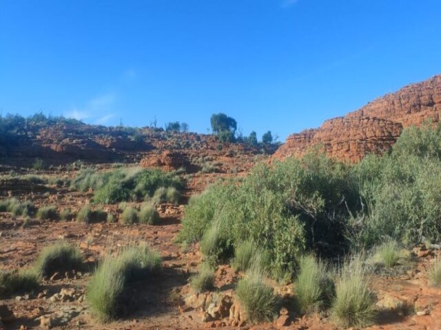 Australia dzien 220 (5)