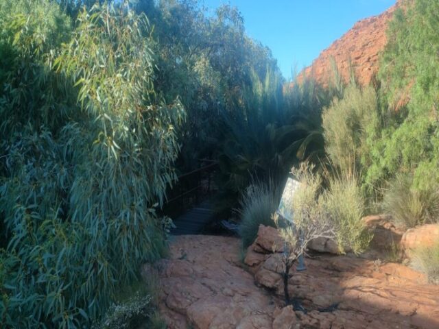 Australia dzien 220 (84)