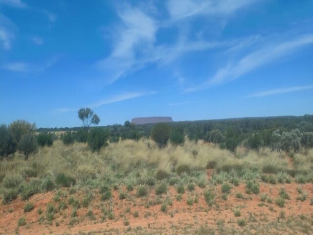Australia dzien 220 (87)