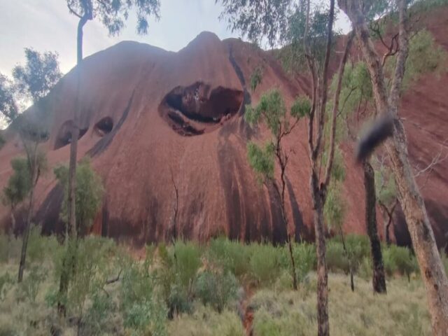 Australia dzien 220 (92)