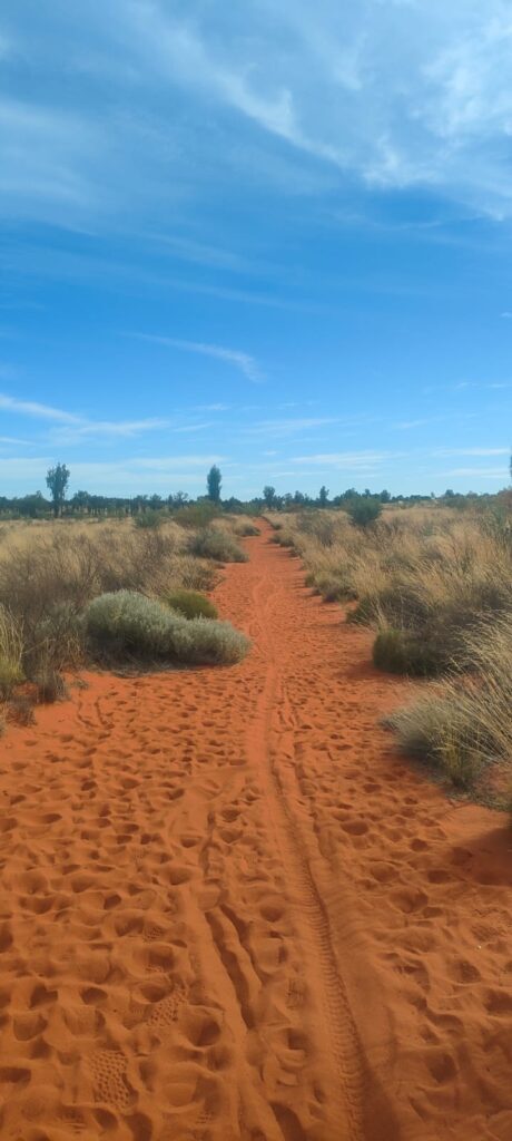 Australia dzien 223 (46)