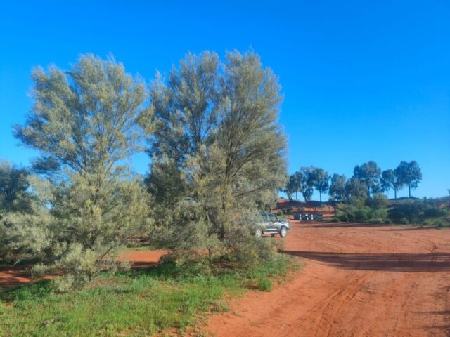 Australia dzien 225 (109)