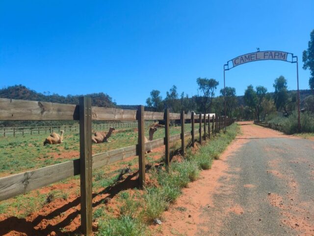 Australia dzien 225 (121)