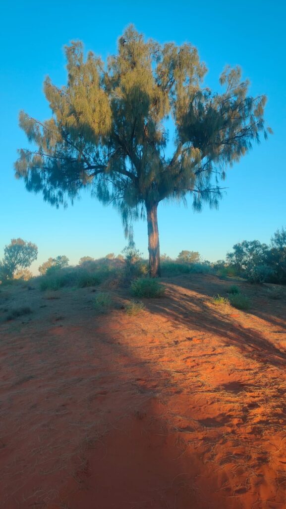 Australia dzien 225 (68)