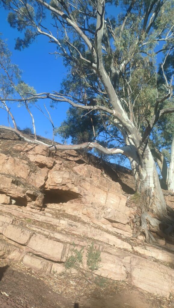 Australia dzien 227 (152)