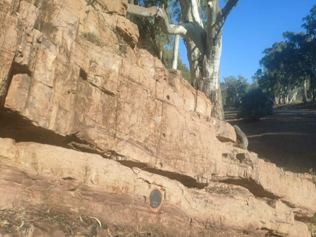 Australia dzien 227 (153)