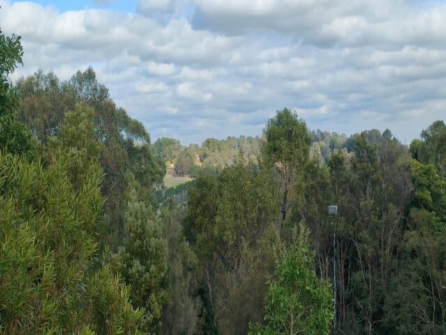 Australia dzien 231 (164)