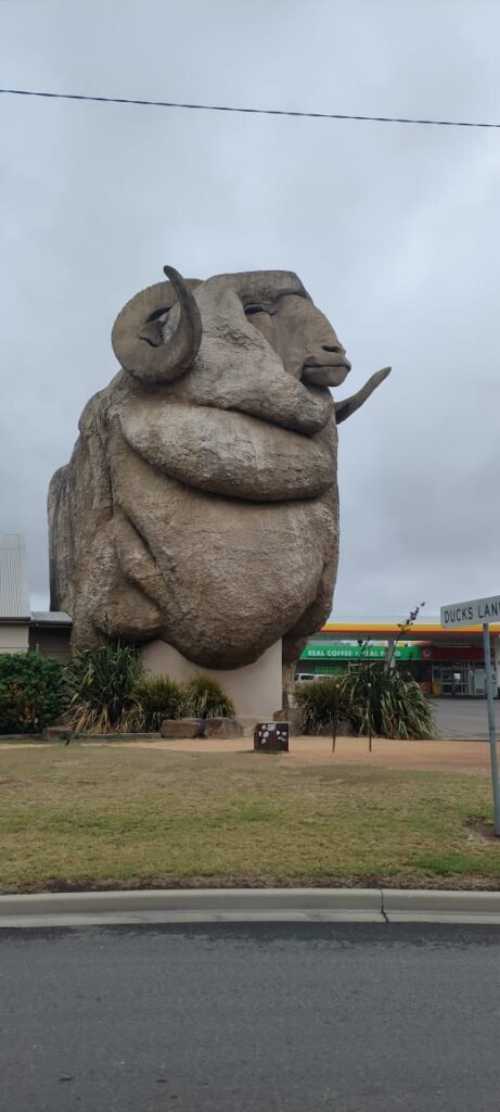Australia dzien 233 (18)