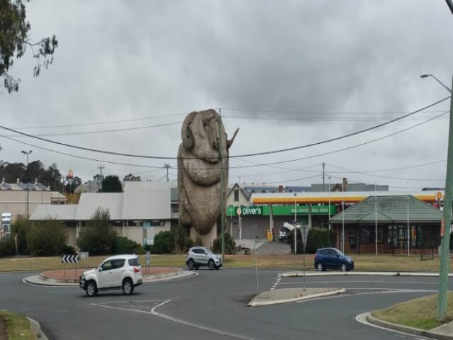 Australia dzien 233 (22)