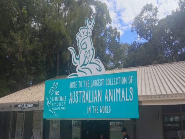 Australia dzien 238 (282)