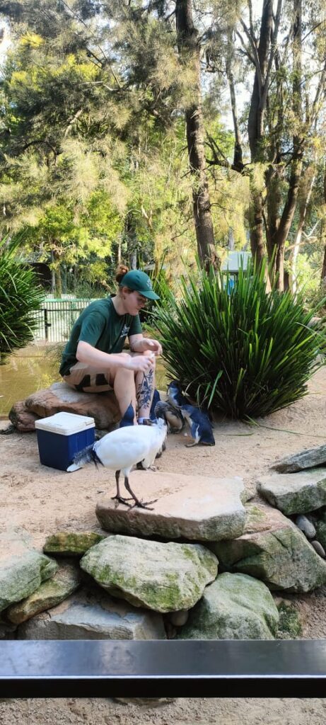 Australia dzien 238 (33)