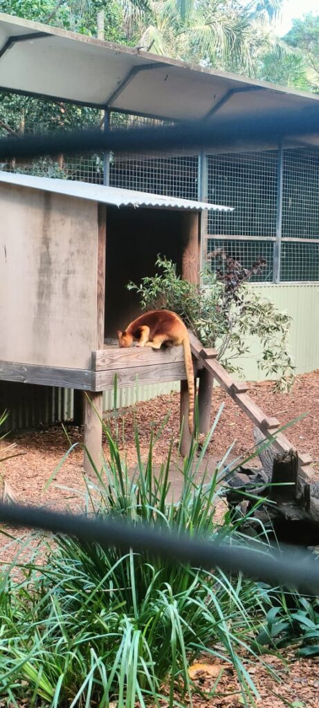 Australia dzien 238 (36)