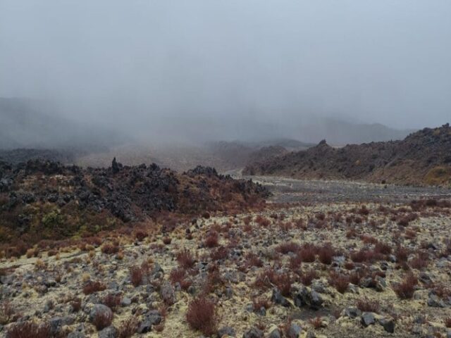 Mordor dzien 278 (87)